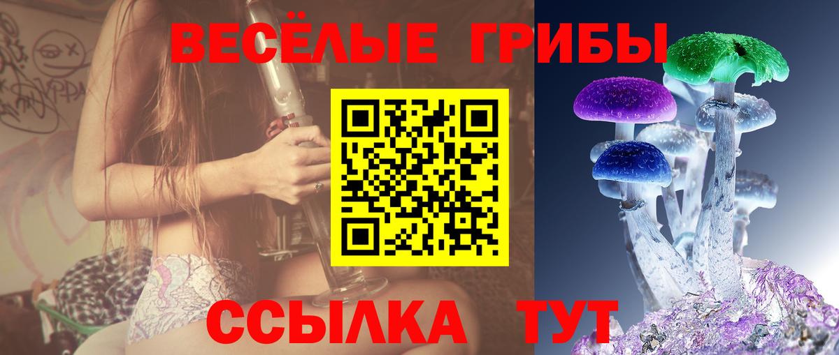 Россия  Галлюциногенные грибы Magic Shrooms  Вход с VPN 